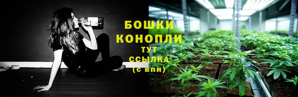 стаф Ачинск